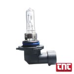 halogen_bulb_h11_12v_55w_with_logo_700x700.jpg