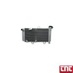 yamaha_xt660_radiator_cooler_assembly_with_logo.jpg