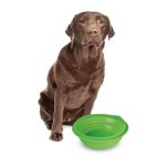 ΤΑΪΣΤΡΑ/ΜΠΟΛ ΤΑΞΙΔΙΟΥ PET TRAVEL BOWL 1000 ml ΓΙΑ ΣΚΥΛΟΥΣ/ΓΑΤΕΣ/ΚΑΤΟΙΚΙΔΙΑ ΖΩΑ (ΣΙΛΙΚΟΝΗ/ΔΙΑΦΟΡΑ ΧΡΩΜΑΤΑ) l60468_4_900x900.jpg